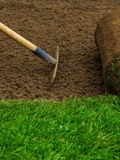 Landscapers/Lawn
