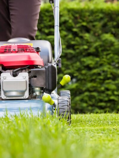 Landscaping/Lawn Care