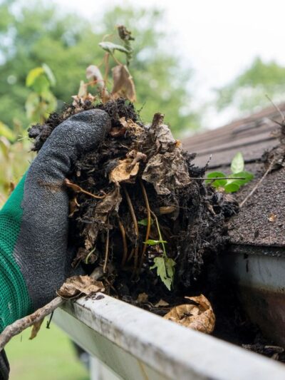 Gutter Cleaning